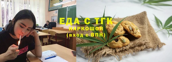 индика Богородск