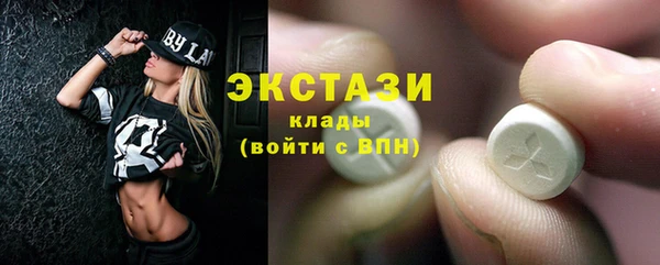 индика Богородск