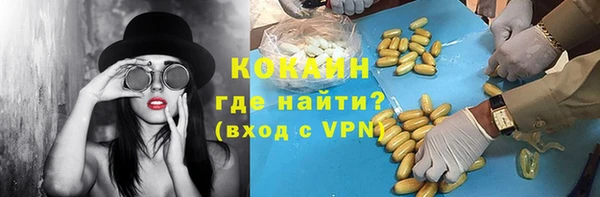 гидра Богородицк