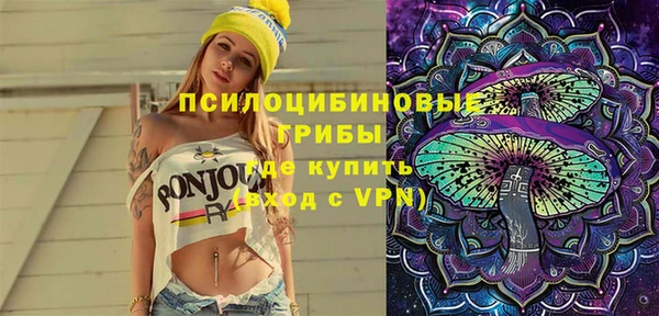 гидра Богородицк