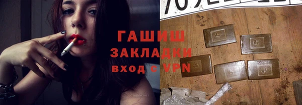 гидра Богородицк
