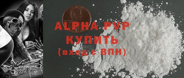 индика Богородск