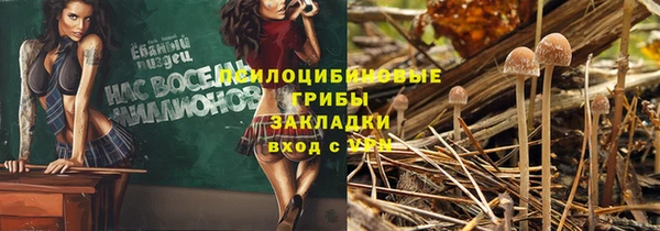 a pvp Алексин
